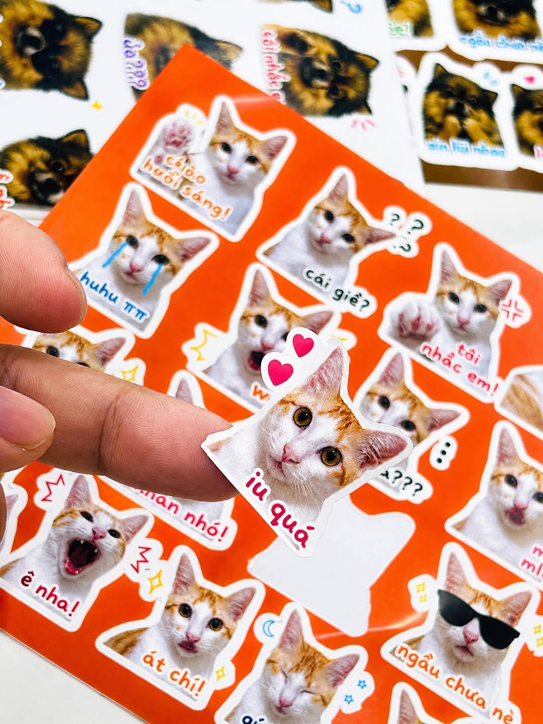 Tem nhãn sticker